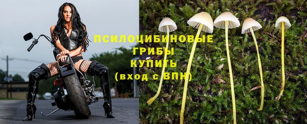 тгк Кодинск