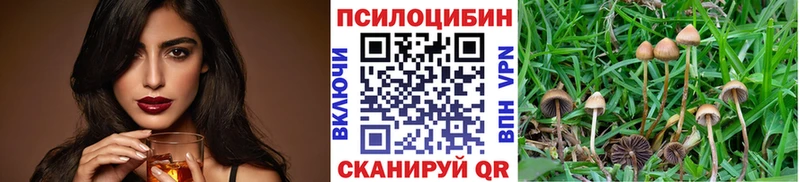 Галлюциногенные грибы GOLDEN TEACHER  Камышлов 