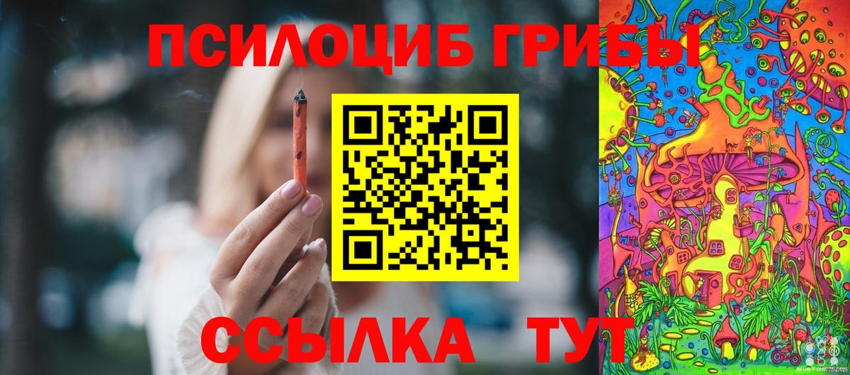 Псилоцибиновые грибы MAGIC MUSHROOMS  Вход с VPN  Камышлов 